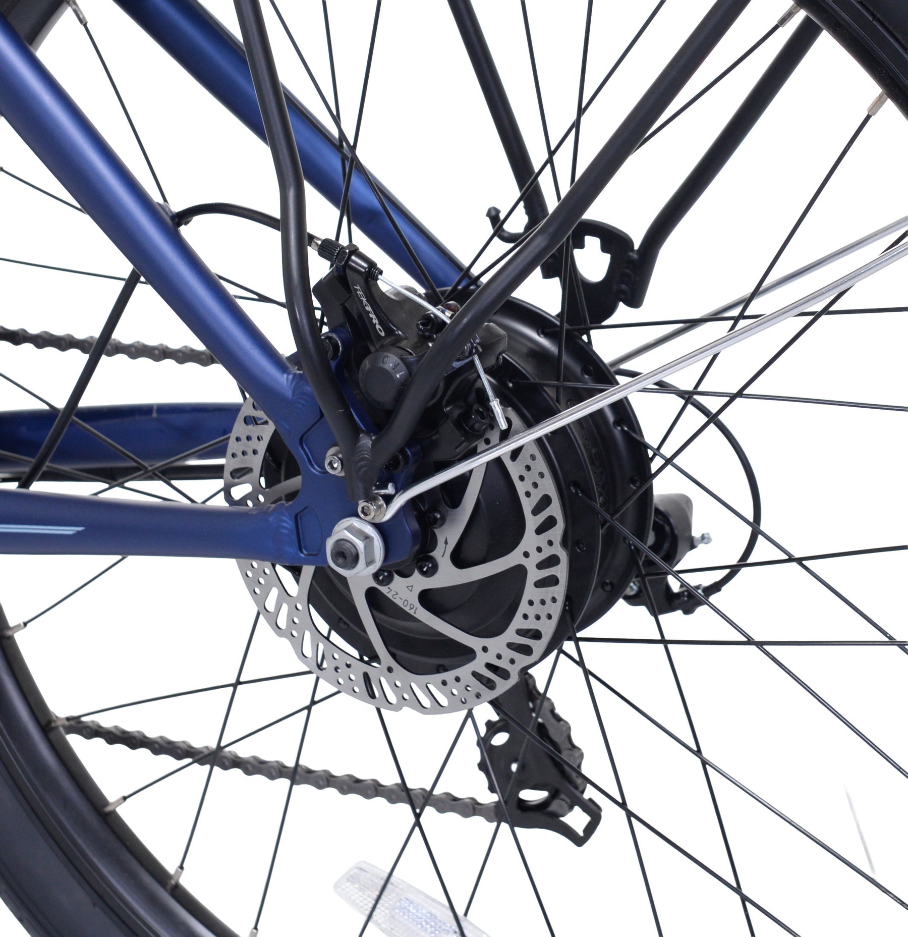 26" Shogun Rockport | Electric Cruiser