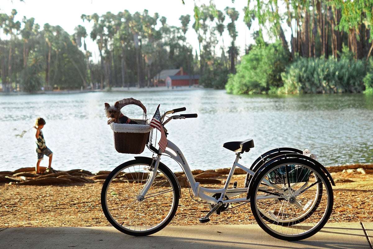 best bike for senior lady