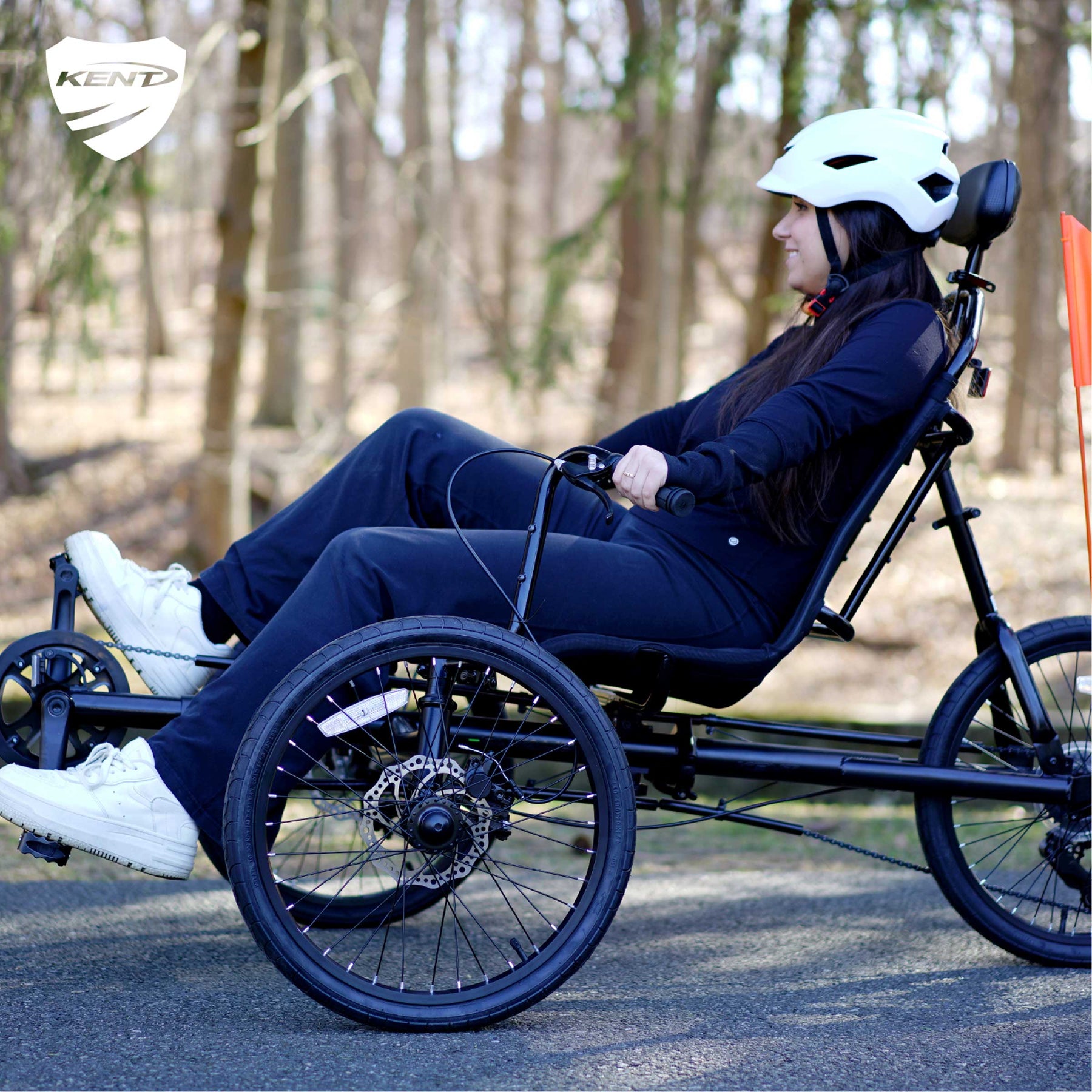 Recumbent road trike online